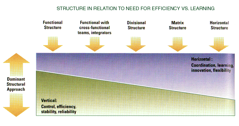 Figure X-17 Relationship of Structure to Organization’s Need for Efficiency Versus Learning